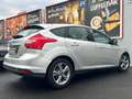 Ford Focus 1.6D Champions Edition *Finanzierung** Grau - thumbnail 8