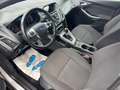 Ford Focus 1.6D Champions Edition *Finanzierung** Grau - thumbnail 9