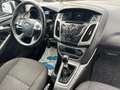 Ford Focus 1.6D Champions Edition *Finanzierung** Grau - thumbnail 13
