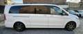 Mercedes-Benz V 250 AMG Line d 4-Matic LWB Avantgarde *1An-Garantie* Blanc - thumbnail 6