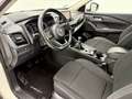 Nissan Qashqai 1.3 DIG-T mHEV 12V Acenta 4x2 103kW - thumbnail 22