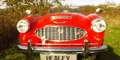 Austin 3000 MK1 - "das Super-Schwein" vom Allerfeinsten Rot - thumbnail 2