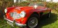 Austin 3000 MK1 - "das Super-Schwein" vom Allerfeinsten Red - thumbnail 1