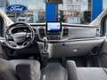 Ford Transit Custom FT 340 L2 Mixto Trend M1 EcoBlue Aut. 150 - thumbnail 11