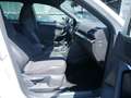 SEAT Tarraco 1.4 TSI FR e-Hybrid 20"-LM AHK 360° Weiß - thumbnail 2