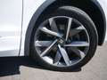 SEAT Tarraco 1.4 TSI FR e-Hybrid 20"-LM AHK 360° Weiß - thumbnail 5