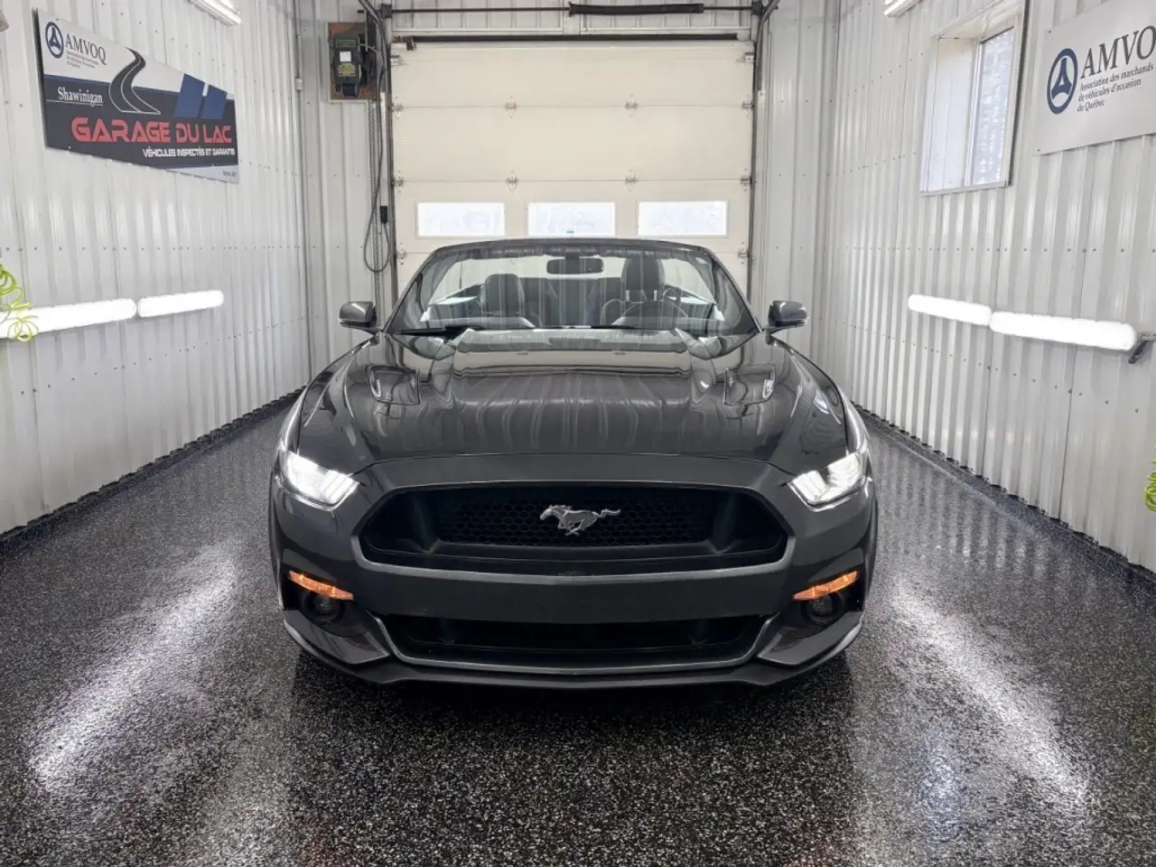 Ford Mustang снимка Ford Mustang