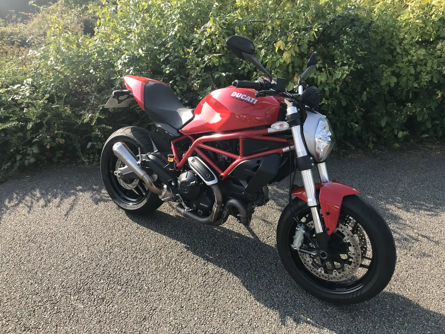 Ducati Rouge - 1