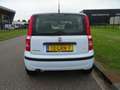 Fiat Panda 1.2 Activepanorama dak Blau - thumbnail 4