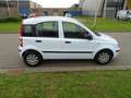 Fiat Panda 1.2 Activepanorama dak Blau - thumbnail 6