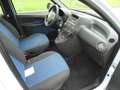 Fiat Panda 1.2 Activepanorama dak Blau - thumbnail 13