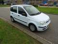 Fiat Panda 1.2 Activepanorama dak Blau - thumbnail 7
