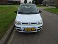 Fiat Panda 1.2 Activepanorama dak Blau - thumbnail 8