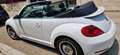 Volkswagen Maggiolino Maggiolino Cabrio 2.0 tdi Sport 140cv Bianco - thumbnail 4