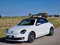 Volkswagen Maggiolino Maggiolino Cabrio 2.0 tdi Sport 140cv Bianco - thumbnail 5