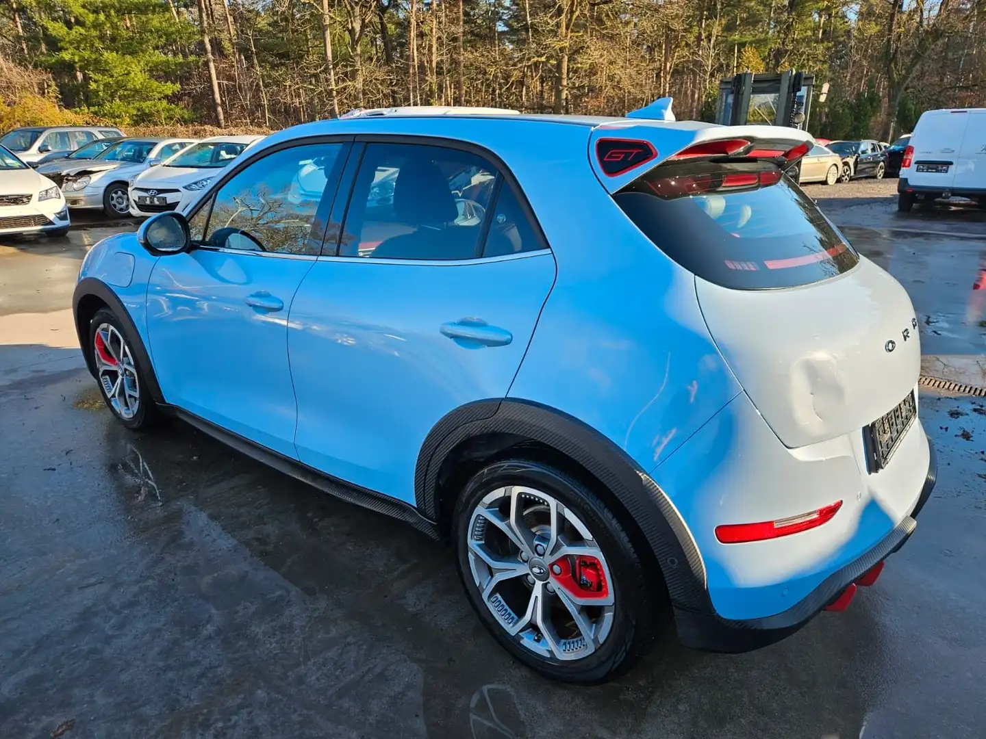 Ora Funky Cat Azul - 1