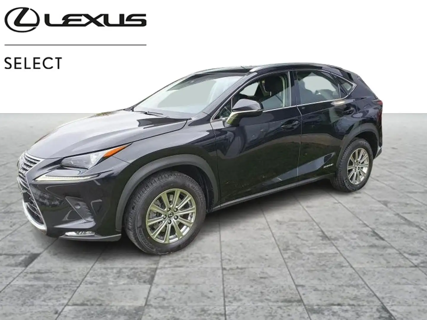 Lexus NX 300h +4x4 Schwarz - 1