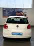 Volkswagen Polo 1.2 Trendline KLIMA+ALLWETTER Blanc - thumbnail 24