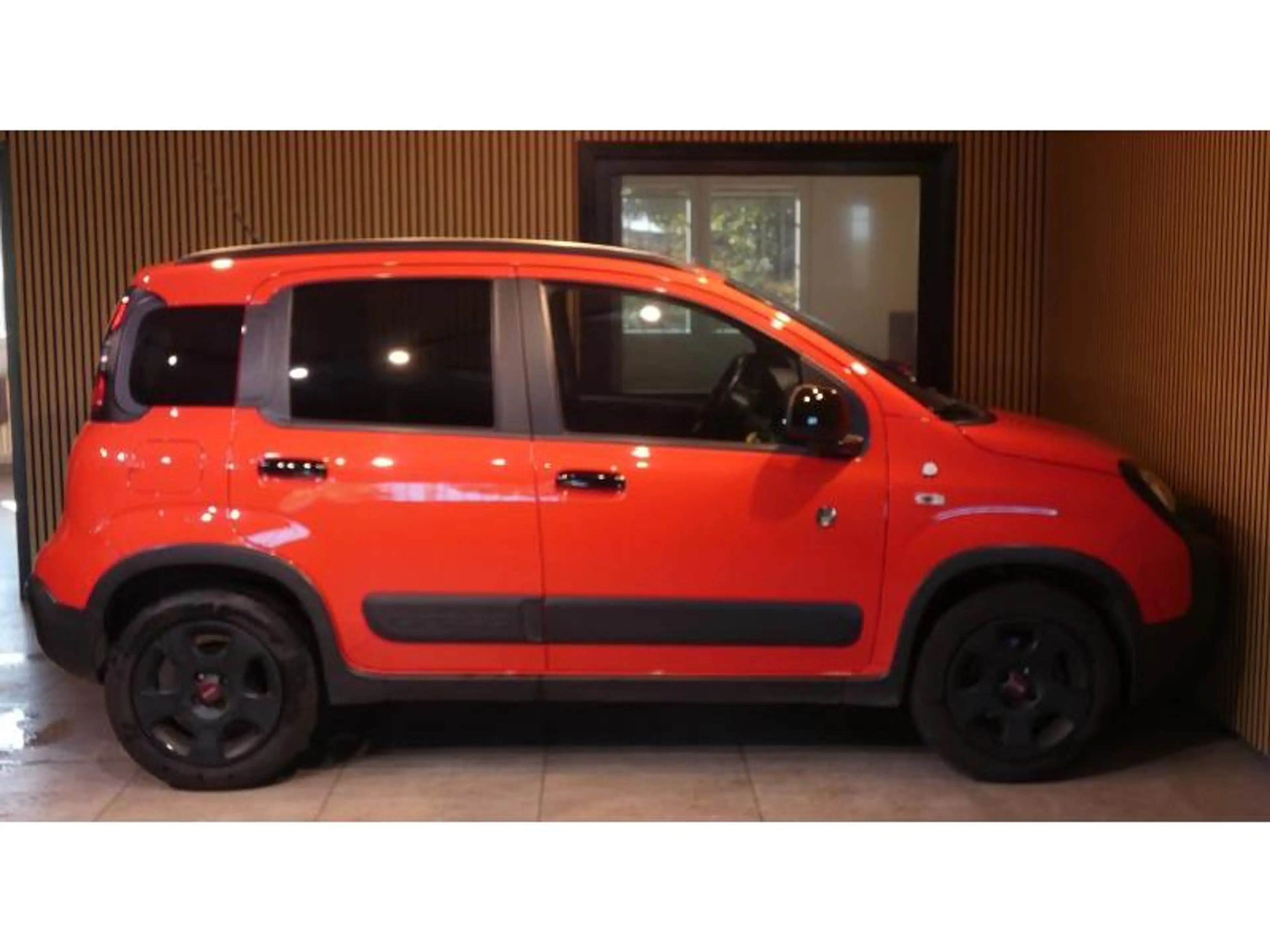 Fiat Panda Cross — photo 8