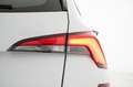 Skoda Kamiq 1.0 TSI 115 CV DSG Selection Bianco - thumbnail 13