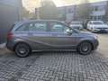 Mercedes-Benz B 250 *Automatik Gris - thumbnail 5