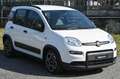 Fiat Panda 1.0 FireFly S&S Hybrid City Life Bianco - thumbnail 3