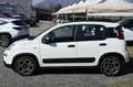 Fiat Panda 1.0 FireFly S&S Hybrid City Life Bianco - thumbnail 8