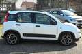 Fiat Panda 1.0 FireFly S&S Hybrid City Life Bianco - thumbnail 4