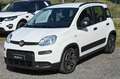 Fiat Panda 1.0 FireFly S&S Hybrid City Life Blanc - thumbnail 22