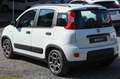 Fiat Panda 1.0 FireFly S&S Hybrid City Life Bianco - thumbnail 7