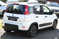 Fiat Panda 1.0 FireFly S&S Hybrid City Life Bianco - thumbnail 5