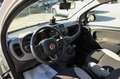 Fiat Panda 1.0 FireFly S&S Hybrid City Life Bianco - thumbnail 12