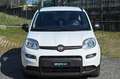 Fiat Panda 1.0 FireFly S&S Hybrid City Life Bianco - thumbnail 2