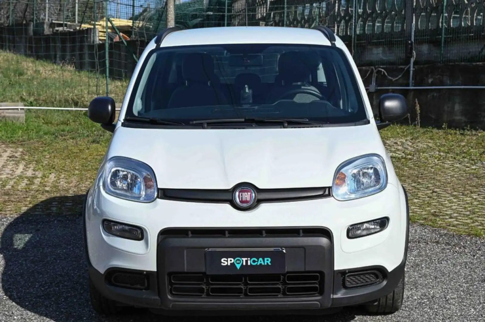 Fiat Panda 1.0 FireFly S&S Hybrid City Life Bianco - 2