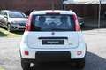 Fiat Panda 1.0 FireFly S&S Hybrid City Life Bianco - thumbnail 6