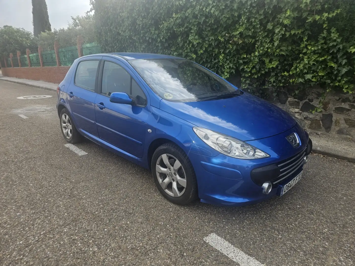 Peugeot 307 2.0HDI XS+ 136 Bleu - 1