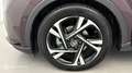 Toyota C-HR 122h Collection 2WD E-CVT MY22 - thumbnail 20