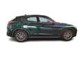 Alfa Romeo Stelvio 2.2 Turbodiesel 160 CV Automatica RWD XENO Busine Verde - thumbnail 3