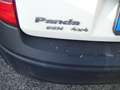 Fiat Panda Panda 1.2 4x4 bijela - thumbnail 5