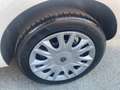 Lancia Ypsilon 1.2 8v Gold ecochic Gpl 69cv - thumbnail 18