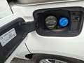 Volkswagen Caddy Caddy Automatik AHK SH Weiß - thumbnail 10