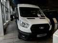 Ford Transit 350 L3H2 Lkw VA Trend (V363) DoKa 6 Sitzer Weiß - thumbnail 2