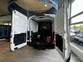 Ford Transit 350 L3H2 Lkw VA Trend (V363) DoKa 6 Sitzer Weiß - thumbnail 6