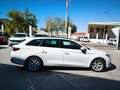 SEAT Leon SP 1.5 TSI 96kW S&S Style Go Blanco - thumbnail 14