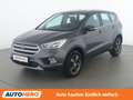 Ford Kuga 1.5 EcoBoost Trend Grau - thumbnail 1