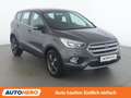Ford Kuga 1.5 EcoBoost Trend Grau - thumbnail 8