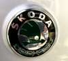 Skoda Roomster Roomster 1.2 Style c/esp OK NEOPATENTATI Plateado - thumbnail 16