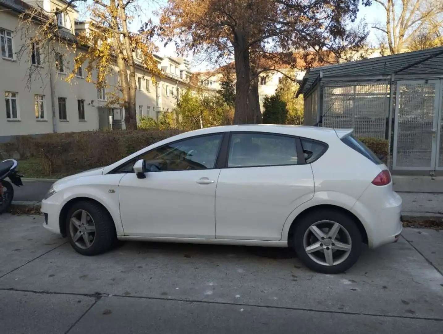 SEAT Leon Leon Chili 1,6 TDI CR Chili Weiß - 1