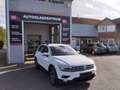 Volkswagen Tiguan 2.0TDI Comfortline 4Motion Autom./AHK/SHZG Blanc - thumbnail 1