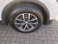 Volkswagen Tiguan 2.0TDI Comfortline 4Motion Autom./AHK/SHZG Blanc - thumbnail 8